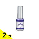 【送料無料!(地域限定)】KOKOIST(ココイスト) ブリーディングインク BI-04 パープル 5mL 2個セット