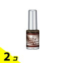 【送料無料!(地域限定)】KOKOIST(ココイスト) ブリーディングインク BI-13 メタリックブラウン 5mL 2個セット