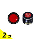 【送料無料!(地域限定)】PREGEL(プリジェル) カラーEX PG-CE285 リアルレッド 4g 2個セット