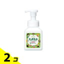 【送料無料!(地域限定)】サラヤ シャボネット ササッとすすぎ 泡手洗いせっけん 250mL (本体) 2個セット(4)