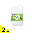 【送料無料!(地域限定)】サラヤ シャボネット ササッとすすぎ 泡手洗いせっけん 2700mL (詰め替え用) 2個セット(4)