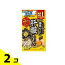 【送料無料!(地域限定)】井藤漢方製薬 しじみの入った牡蠣ウコン肝臓エキス 大容量 240粒 (40~80日分) 2個セット