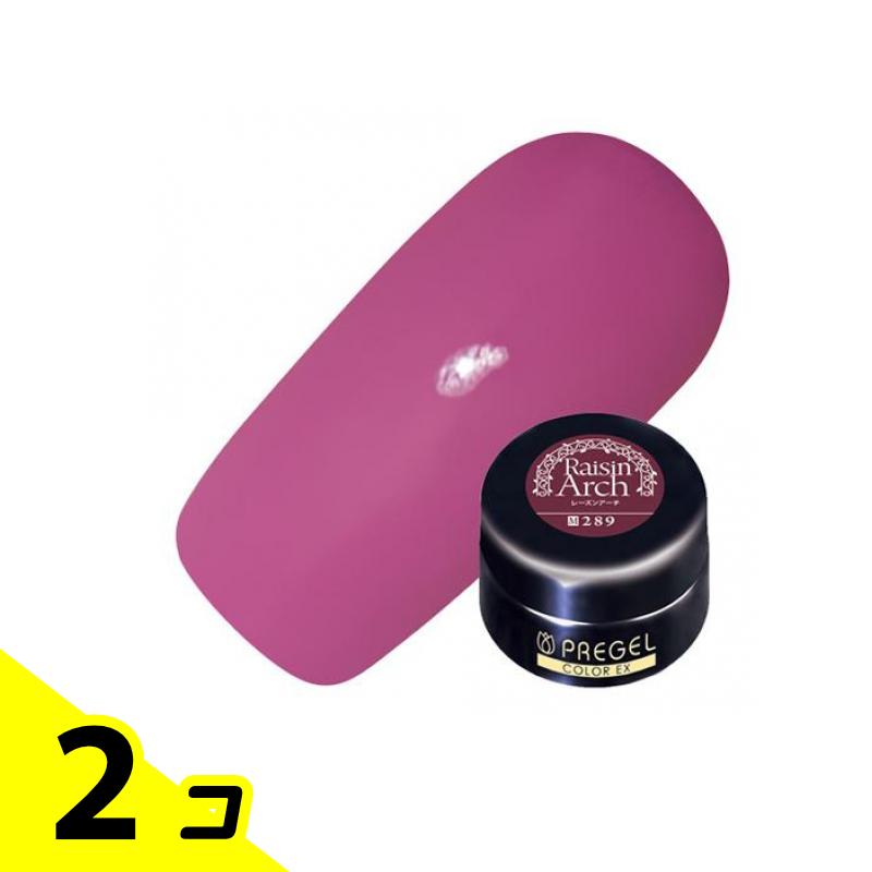 【送料無料!(地域限定)】PREGEL(プリジェル) カラーEX PG-CE289 レーズンアーチ 4g 2個セット