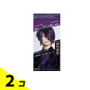 【送料無料!(地域限定)】ビューティーン メイクアップカラー ディープバイオレット 1組入 2個セット