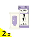【送料無料!(地域限定)】SmartReset 流せる ボディシート 女性用 無香料 12枚入 2個セット