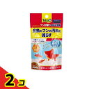 【送料無料!(地域限定)】Tetra テトラフィン フン対策 色あせ抑制 60g 2個セット