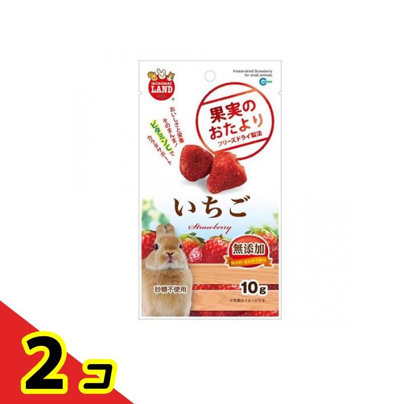 【送料無料！（地域限定）】ミニマルランド 果実のおたより いちご ML-84 10g 2個セット