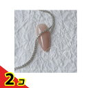 【送料無料!(地域限定)】D.nail ディーネイル デコレーションチェーン シルバー 1本入 (幅1.2mm×10cm) 2個セット