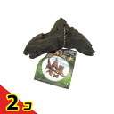 【送料無料!(地域限定)】マルカン 自然流木 1個入 (ミニ NAN-240 ) 2個セット