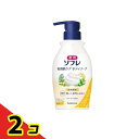 【送料無料!(地域限定)】薬用ソフレ 乾燥肌ケアボディソープ ポンプ付き本体ボトル 450mL 2個セット