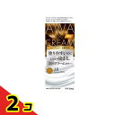 【送料無料!(地域限定)】ビゲン 泡クリームカラー 白髪用 3Bキャメルブラウン 1組入 2個セット