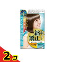 【送料無料!(地域限定)】プロカリテ 縮毛矯正セット ショート・部分用 1組入 2個セット