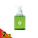 【送料無料!(地域限定)】ファーマアクト 薬用泡ハンドソープ 250mL (ボトル) 2個セット