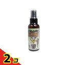 【送料無料!(地域限定)】大洋製薬 アロマボディミスト TY 100mL 2個セット