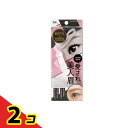 【送料無料!(地域限定)】貝印 アイブローテンプレート 愛され美人眉 KQ2019 1個入 2個セット