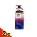 【送料無料!(地域限定)】Levata レバタ スカルプスパシャンプー 本体ポンプ 400mL 2個セット