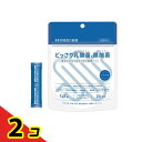【送料無料!(地域限定)】井藤漢方製薬 どっさり乳酸菌と酪酸菌 2g× 24袋入 (24日分) 2個セット