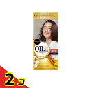 【送料無料!(地域限定)】サロンドプロ オイルリッチクリームヘアカラー 白髪用 4PB ピンクブラウン 1組入 2個セット