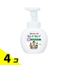 【送料無料!(地域限定)】キレイキレイ薬用泡ハンドソープ シトラスフルーティの香り ポンプ本体 250mL 4個セット