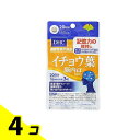 【送料無料!(地域限定)】DHCの健康食品 イチョウ葉 脳内α(アルファ) 20日分 60粒 4個セット
