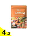 【送料無料!(地域限定)】万田酵素 GINGER(ジンジャー) ペースト(分包)タイプ 2.5g× 31包 4個セット
