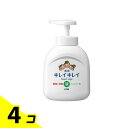 【送料無料!(地域限定)】キレイキレイ 薬用液体ハンドソープ 250mL (ポンプ) 4個セット