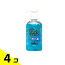 【送料無料!(地域限定)】エスコン うがい薬CP 250mL 4個セット