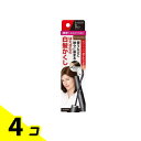 【送料無料!(地域限定)】サロンドプロ カラーオンリタッチ 白髪かくしEX ナチュラルブラウン 15mL 4個セット
