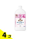 【送料無料!(地域限定)】キレイキレイ薬用泡ハンドソープ シトラスフルーティの香り 詰め替え用 特大サイズ 800mL 4個セット