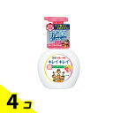 【送料無料!(地域限定)】キレイキレイ薬用泡ハンドソープ フルーツミックスの香り ポンプ本体 250mL 4個セット