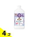 【送料無料!(地域限定)】キレイキレイ薬用泡ハンドソープ フローラルソープの香り 詰め替え用 特大サイズ 800mL 4個セット