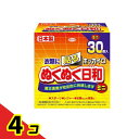 【送料無料!(地域限定)】ホッカイロ ぬくぬく日和 貼るタイプ ミニ 30個入 4個セット