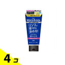 【送料無料!(地域限定)】メンズビゲン カラーリンス アッシュブラック 160g 4個セット