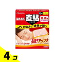 【送料無料!(地域限定)】久光製薬 温熱用具 直貼 肩・首用 12枚 (Sサイズ) 4個セット