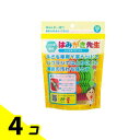 【送料無料!(地域限定)】はみがき先生 キッズ用Y字フロス 30本入 4個セット