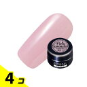 【送料無料!(地域限定)】PREGEL(プリジェル) カラーEX シアー PG-CE891 ペールラベンダー 3g 4個セット