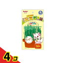 【送料無料!(地域限定)】ペティオ ネコの元気草の種 全犬・全猫種用 5回分 (15g×5包入) 4個セット