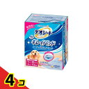 【送料無料!(地域限定)】デオシート キレイパッド Mサイズ 64枚入 4個セット