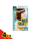 【送料無料!(地域限定)】プロカリテ 縮毛矯正セット ショート・部分用 1組入 4個セット