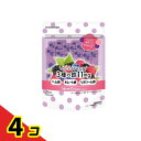 【送料無料!(地域限定)】ひとくちFeケア 3種の鉄11mg プラム&ベリー風味 1.5g× 15袋入 (15日分) 4個セット