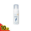 【送料無料!(地域限定)】コラージュMフェイシャルソープ 泡状洗顔料 150mL 10個セット