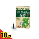 【送料無料!(地域限定)】せんねん灸の奇跡 レギュラー 220点入 10個セット