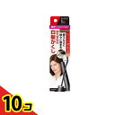 【送料無料!(地域限定)】サロンドプロ カラーオンリタッチ 白髪かくしEX ナチュラルブラウン 15mL 10個セット