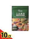 【送料無料!(地域限定)】万田酵素 STANDARD(スタンダード) ペースト(分包)タイプ 2.5g× 31包 10個セット