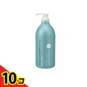 【送料無料!(地域限定)】サロンリンク アミノ シャンプー 1000mL 10個セット