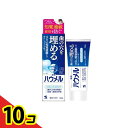 【送料無料!(地域限定)】薬用ハミガキ ハウメル 100g 10個セット