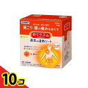 【送料無料!(地域限定)】めぐりズム 蒸気の温熱シート 肌に直接貼るタイプ 16枚 10個セット(4)