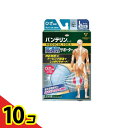 【送料無料!(地域限定)】バンテリンコーワ高通気サポーター ひざ専用 大きめLサイズ 1枚入 (ライトブルー) 10個セット