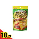 【送料無料!(地域限定)】GEX カメ元気 カメのごちそうパン えび味 20g 10個セット