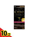 【送料無料!(地域限定)】CIELO(シエロ) オイルインヘアマニキュア アッシュブラウン 1個 10個セット